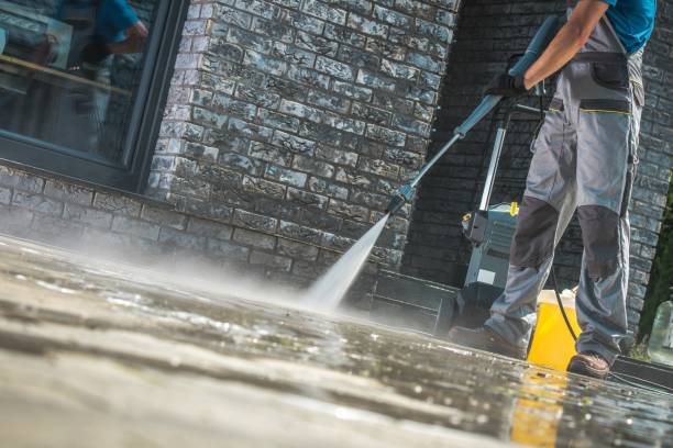 Best Gutter Cleaning and Brightening in Old Brookville, NY