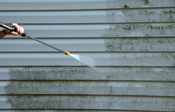 Best Sidewalk and Walkway Pressure Cleaning in Old Brookville, NY